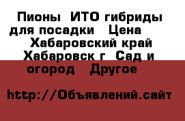 Пионы -ИТО гибриды для посадки › Цена ­ 900 - Хабаровский край, Хабаровск г. Сад и огород » Другое   